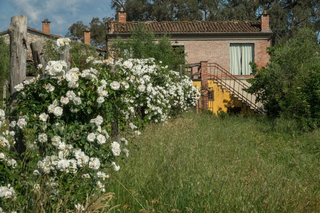 Resort La Ghiaia Sarzana Extérieur photo