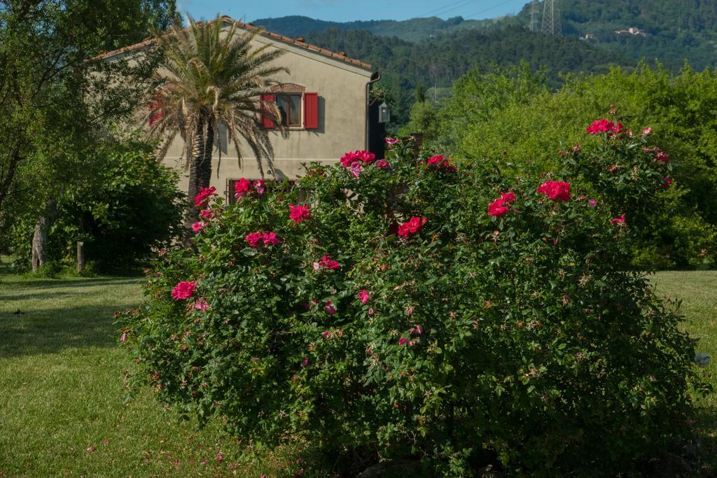 Resort La Ghiaia Sarzana Extérieur photo